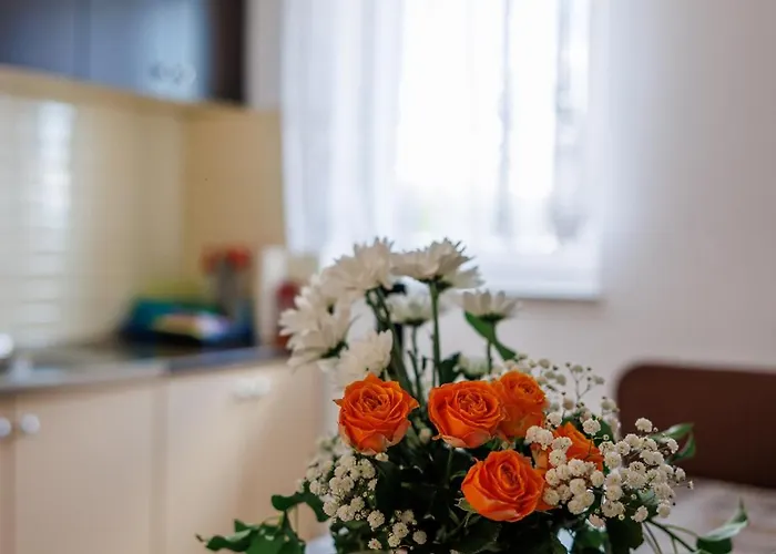 Апартаменты Stasic Katarina Солине