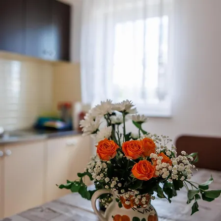 Apartamento Stasic Katarina Soline (Krk)
